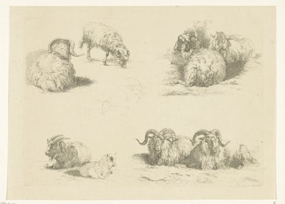 Vier Darstellungen mit Schafen und Ziegen von Pieter Gerardus van Os