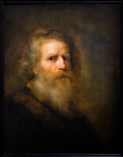 Kopf eines alten Mannes von Pieter Harmansz Verelst