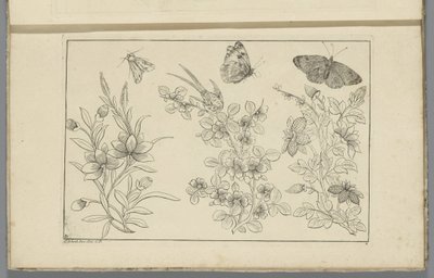 Drei Blumenstängel und drei Schmetterlinge von Pieter Schenk (II)