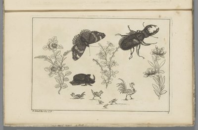 Drei Blumenstängel mit Nashornkäfer, Schmetterling und Käfer von Pieter Schenk (II)