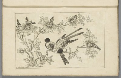 Zwei Vögel auf einem Blütenzweig
Chinesische Blumen und Vögel (Serientitel) von Pieter Schenk (II)