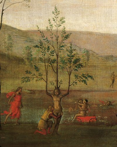 Baumfrau (Detail) von Pietro Perugino