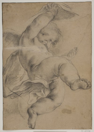 Fliegender Putto hebt einen Vorhang von Pietro da Cortona