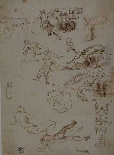 Skizzen von männlichen Akten, Tieren und ornamentalen Details von Polidoro da Caravaggio