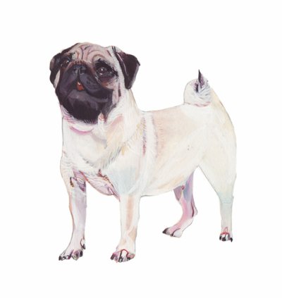 Mops von Polly Horner
