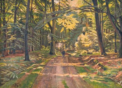 Waldweg bei Dyrnæs von Poul S. Christiansen
