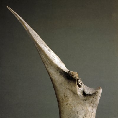 Vorgeschichte, Polada-Kultur: Knochenspitze aus dem Polada-Torfmoor, Lonato. Bronzezeit. Rom, Museo Nazionale Preistorico Etnografico Luigi Pigorini von Prehistoric Prehistoric