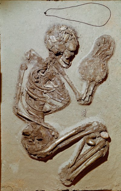 Vorgeschichte: weibliches Skelett aus dem Oberen Neolithikum. Kultur von Chiozza. 2900-2700 v. Chr. Reggio Emilia, Musei Civici, Museo Chierici, Italien von Prehistoric Prehistoric