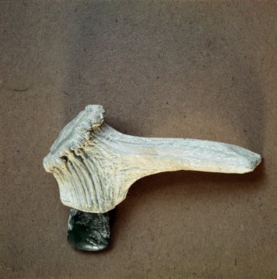 Prähistorie: grüne Steinaxt mit Hirschhorngriff aus der Höhle von Pollera (Finale Ligure), Ligurien. Mittleres Neolithikum, Steinzeit. Genua, Museo di archeologia Ligure von Prehistoric Prehistoric