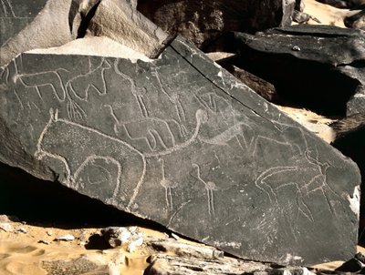 Vorgeschichte, Felskunst: Grabfelsen mit Darstellungen von Löwen, Antilopen, Straußen und Rindern. Steinzeit 5000-2000 v. Chr. Taghit, Hochplateau von Hoggar, Algerien von Prehistoric Prehistoric