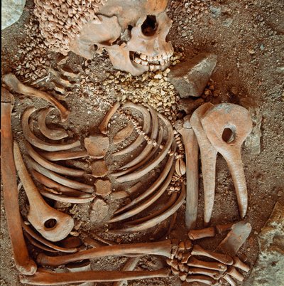 Prähistorie: Skelett und Grabbeigaben eines Jugendlichen, genannt der junge Prinz, aus der Höhle der Arene Candide (Finale Ligure): Halskette aus Muscheln, Hirschhorn und Feuerstein. Steinzeit, Oberes Paläolithikum. Genua, Museo di archeologia Ligure von Prehistoric Prehistoric