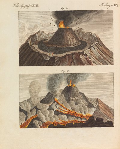 Kinderbilderbuch Kinderenzyklopädie von Friedrich Johann Justin Bertuch, 1798-1830 von Pupils of the Weimar Princely Free
