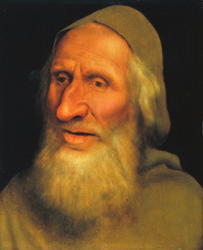 Kopf eines alten Mannes, ca. 1525 von Quentin Massys or Metsys