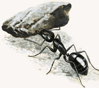 Kleine Monster: Die mächtige Ameise von R.B. Davis