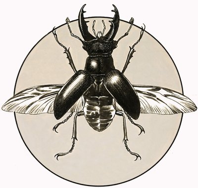 Der Hirschkäfer von R.B. Davis