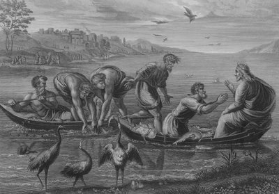 Der wunderbare Fischfang von after Raphael