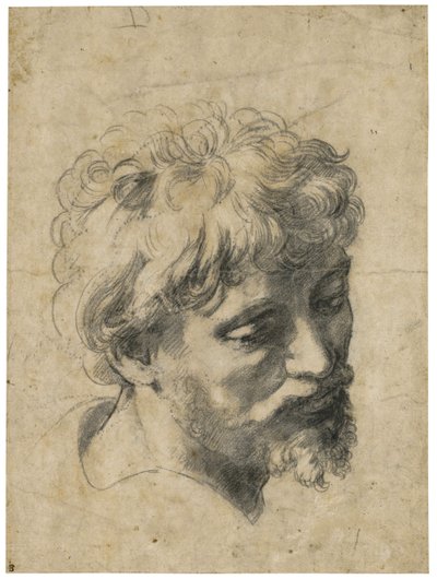 Porträt eines jungen Apostels von Raphael