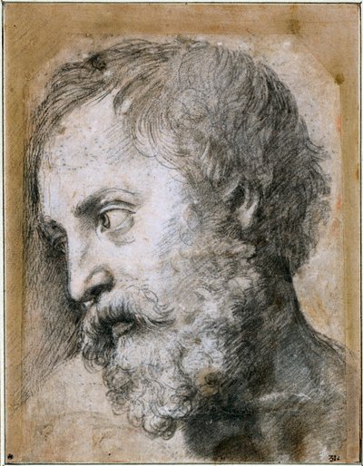 Kopf eines Apostels, Studie für die Verklärung, 1519-1520 von Raffaello Sanzio Raphael