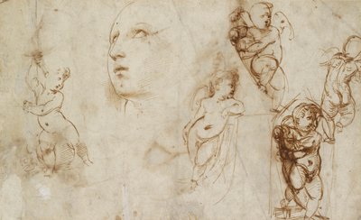 Verschiedene Studien, hauptsächlich für die Borghese-Beckford St. Katharina, frühes 16. Jahrhundert von Raphael