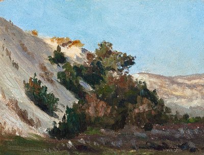 Landschaft mit Dünen, Atlantischer Ozean von Raymond Bonnefon