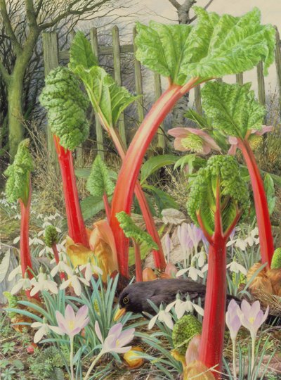Im Rhabarberbeet von Raymond Booth
