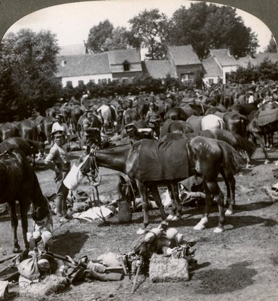 Truppen füttern ihre Pferde und ruhen sich auf dem Marsch aus, Erster Weltkrieg, 1914-1918 von Realistic Travels Publishers