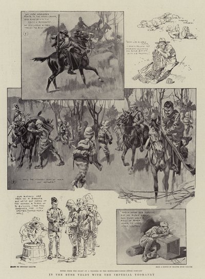 Im Buschveld mit der Imperial Yeomanry von Reginald Thomas Cleaver