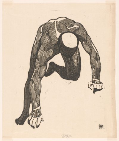 Anatomische Studie der Hals-, Arm- und Beinmuskeln eines Mannes von Reijer Stolk