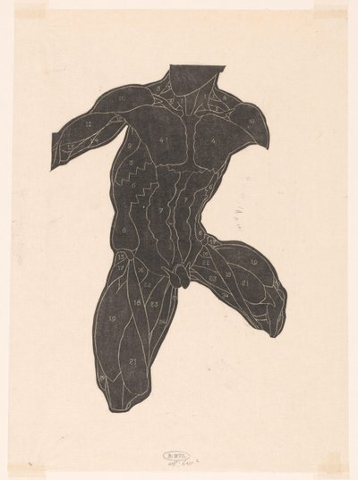 Anatomische Studie der Nacken-, Bauch- und Oberschenkelmuskeln eines Mannes im Silhouette von Reijer Stolk
