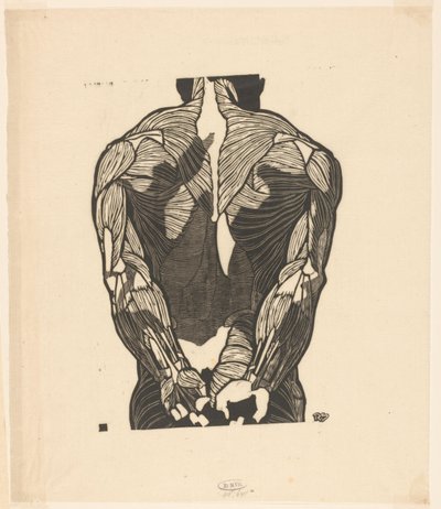Anatomische Studie der Rückenmuskeln eines Mannes von Reijer Stolk