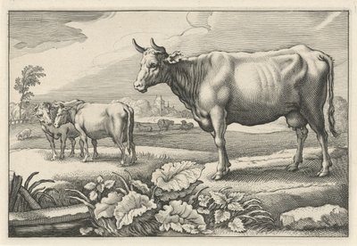 Weide mit Kühen von Reinier van Persijn