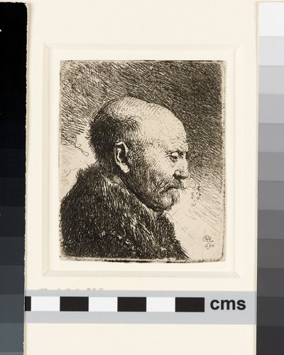 Glatzköpfiger Mann im Profil rechts: Rembrandts Vater? von Rembrandt van Rijn