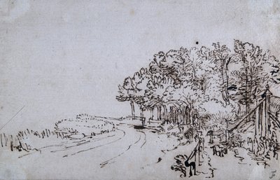 Wäldchen am Kopf des Amsteldijk bei Trompenburg, ca. 1649 von Rembrandt Harmensz. van Rijn