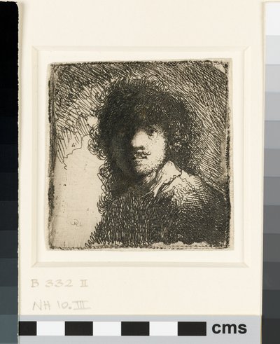Selbstporträt ohne Kopfbedeckung: Büste, ca. 1629 von Rembrandt van Rijn