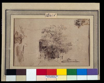Studie eines Baumes vor einem Haus von Rembrandt Harmensz. van Rijn
