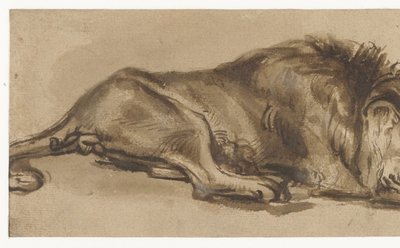 Studie eines schlafenden Löwen von Rembrandt van Rijn (copy after)