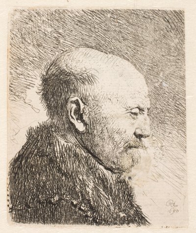 Glatzköpfiger Mann im Profil (Rembrandts Vater?) von Rembrandt van Rijn