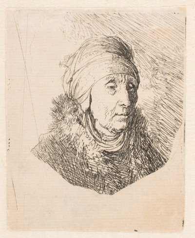 Büste einer alten Frau mit hohem Kopfschmuck, um das Kinn gebunden von Rembrandt van Rijn