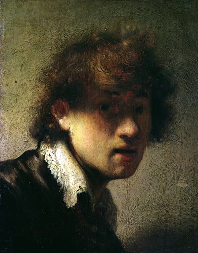 Kopf eines jungen Mannes oder Selbstporträt, 1629 von Rembrandt van Rijn