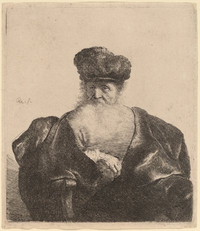 Alter Mann mit Bart, Pelzmütze und Samtumhang von Rembrandt van Rijn