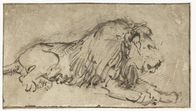 Liegender Löwe von Rembrandt van Rijn