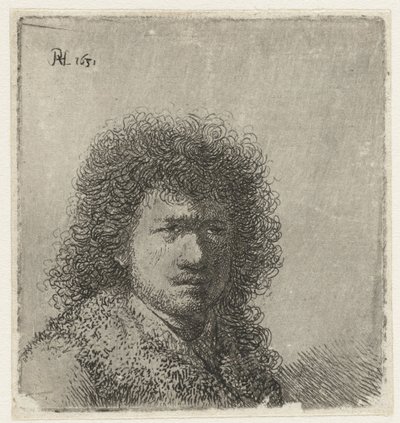 Selbstporträt mit buschigem Haar: Büste von Rembrandt van Rijn