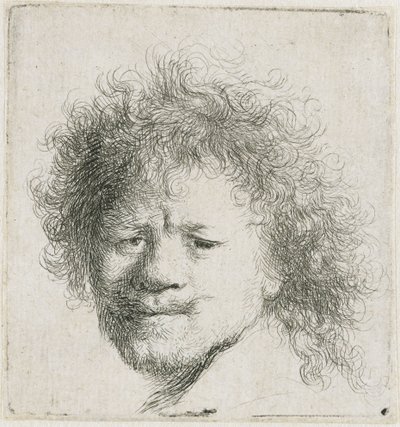 Selbstporträt mit langem buschigem Haar: nur Kopf von Rembrandt van Rijn