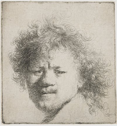 Selbstporträt mit langen buschigen Haaren: nur Kopf, ca. 1631 von Rembrandt van Rijn
