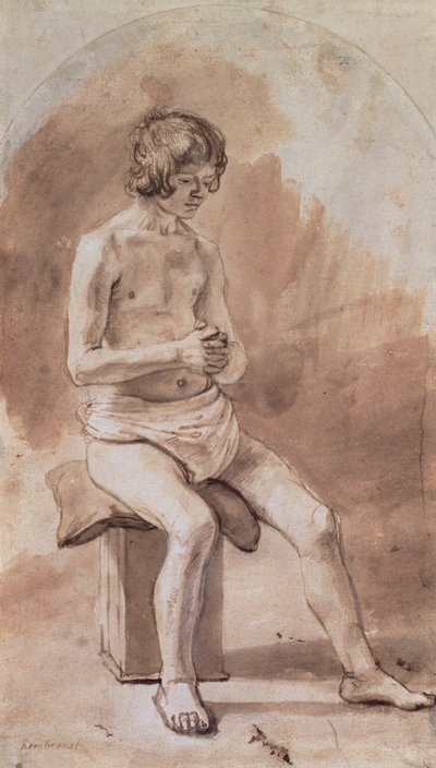 Studie eines nackten Jugendlichen von Rembrandt van Rijn