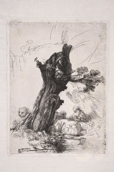 Heiliger Hieronymus, schreibend an einem Weidenstamm von Rembrandt van Rijn