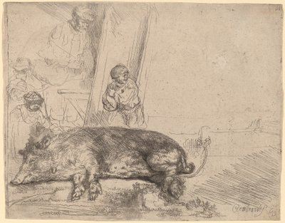 Das Schwein von Rembrandt van Rijn