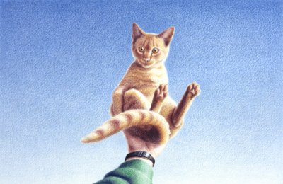 Handvoll von Rene Boin