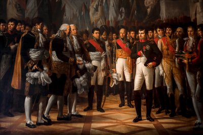 Napoleon empfängt die Senatsabgeordneten im Königspalast in Berlin von Rene Theodore Berthon