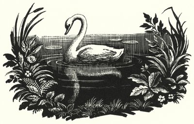 Hans Christian Andersen: Das hässliche Entlein von Rex (after) Whistler